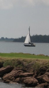 Another sail boat on the gray sea