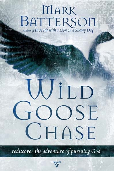 wild-goose-chase